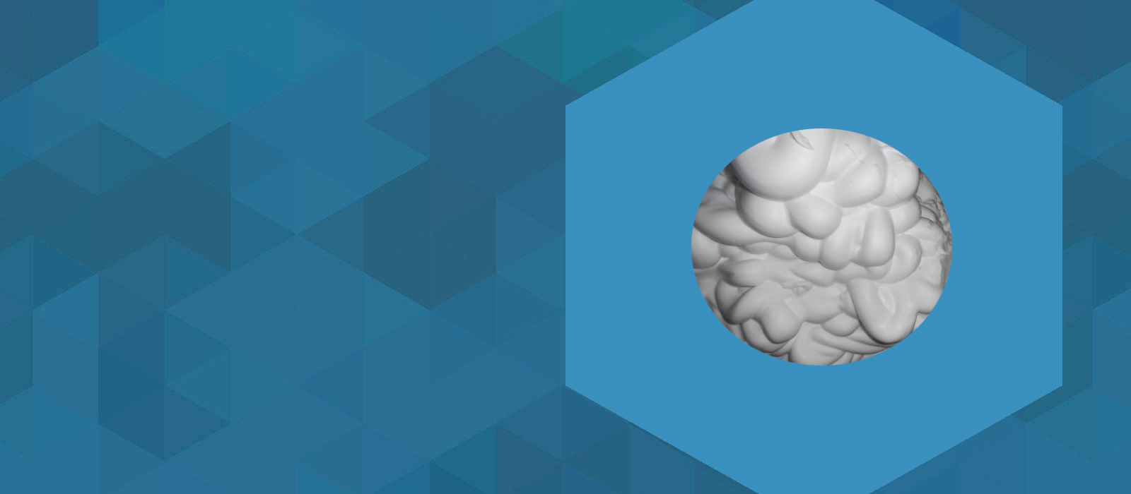 Білковий піноутворювач Livoton